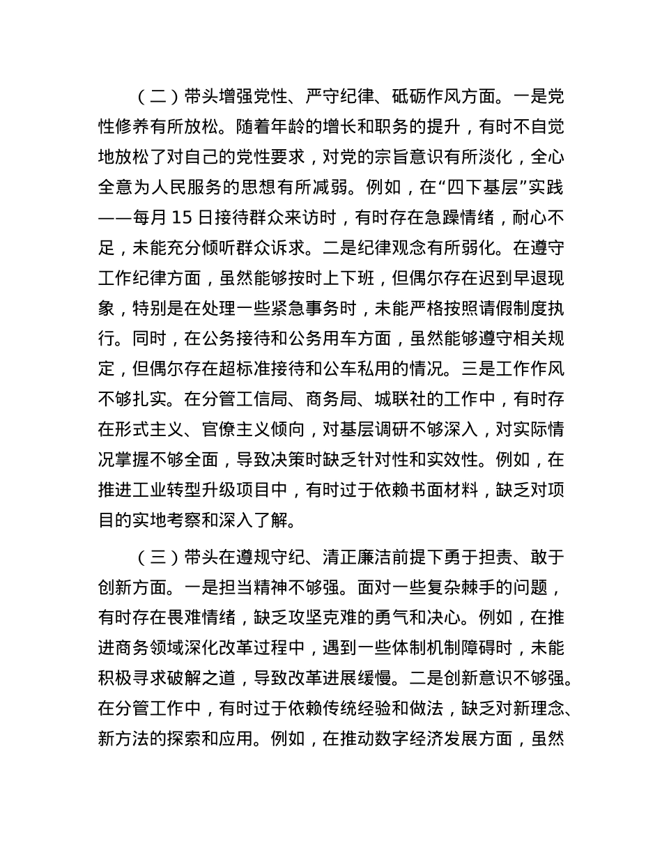 县政府班子成员2024年民主生活会个人对照检查发言材料(1).docx_第2页