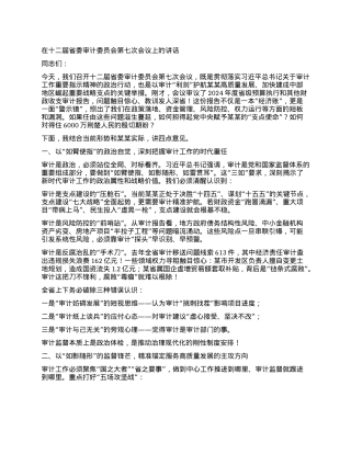 在十二届省委审计委员会第七次会议上的讲话.docx