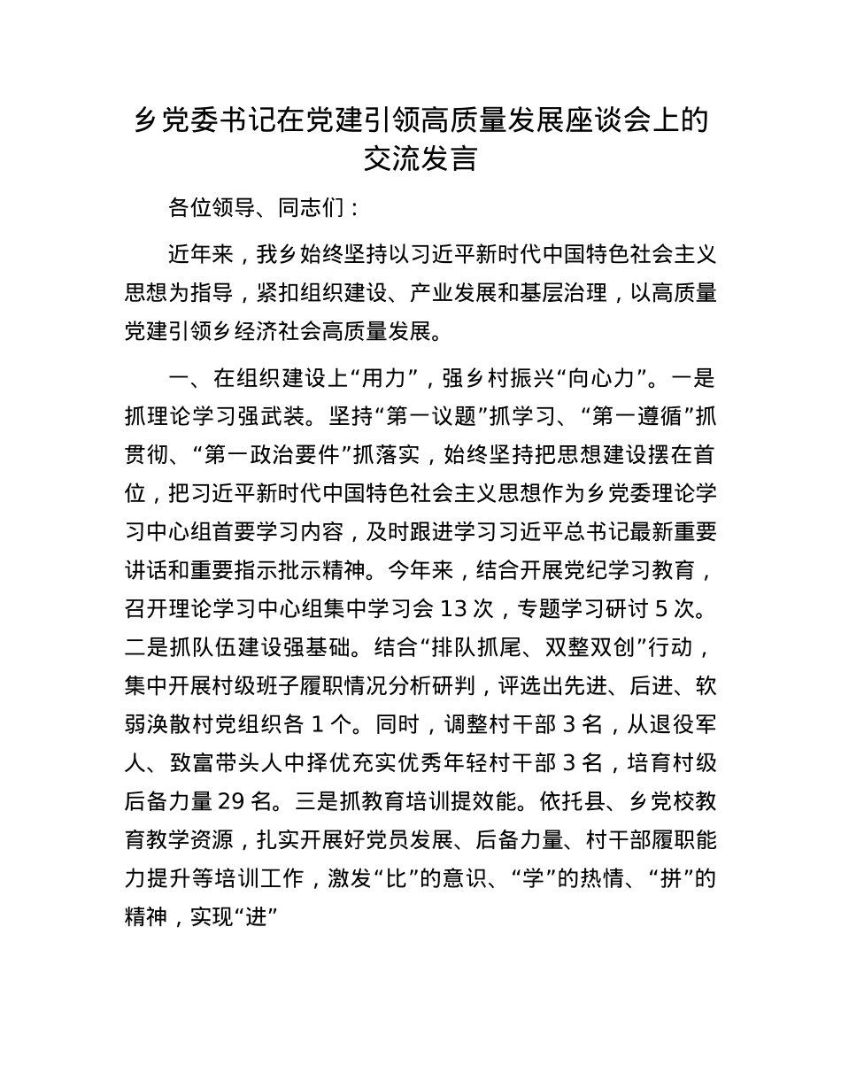 乡X委书记在X建引领高质量发展座谈会上的交流发言.docx_第1页