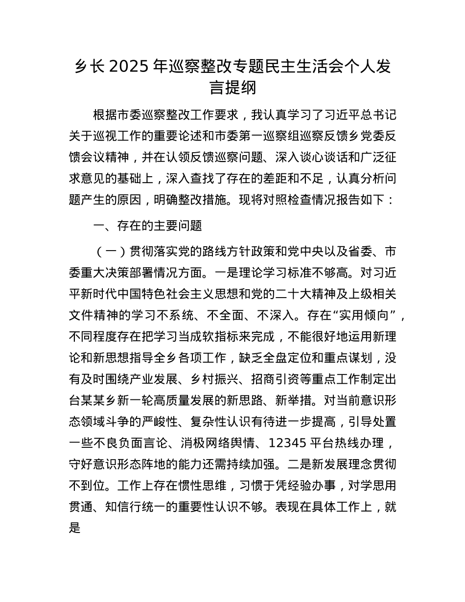 乡长2025年巡察整改专题民主生活会个人发言提纲.docx_第1页