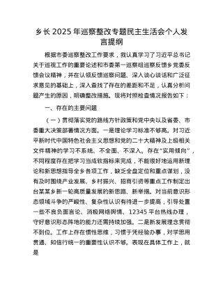 乡长2025年巡察整改专题民主生活会个人发言提纲.docx