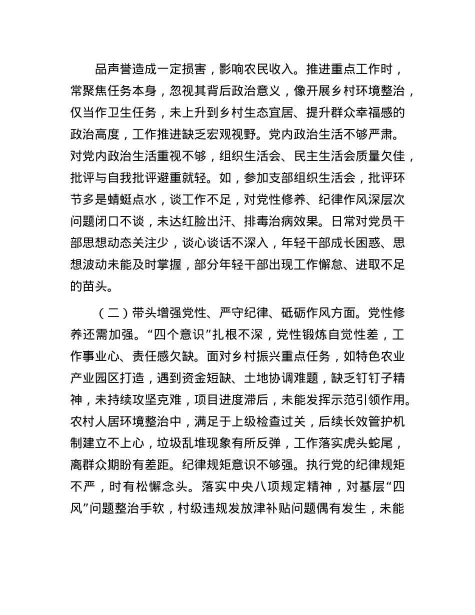 乡镇党委书记2024年专题民主生活会对照检查发言材料（四个带头）(1).docx_第2页