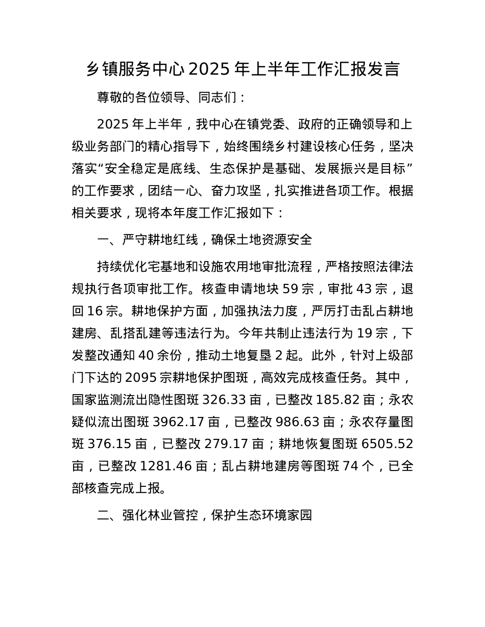 乡镇服务中心2025年上半年工作汇报发言.docx_第1页