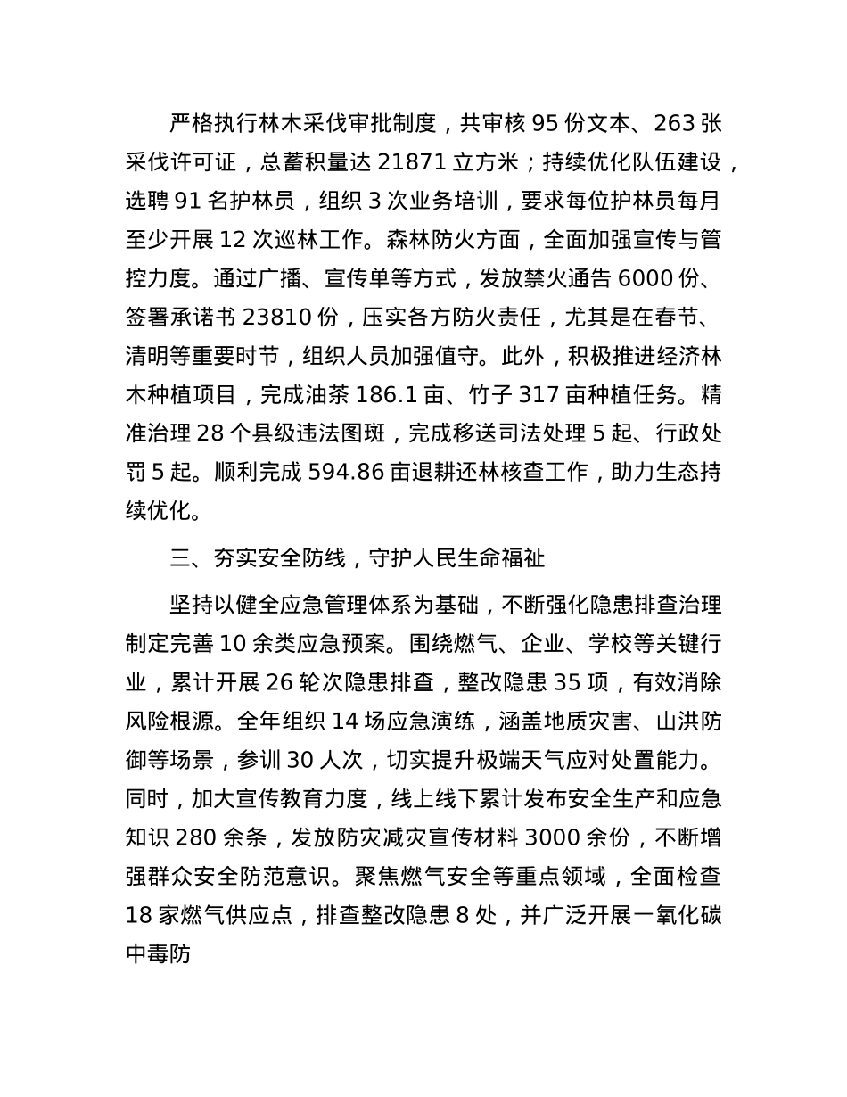 乡镇服务中心2025年上半年工作汇报发言.docx_第2页