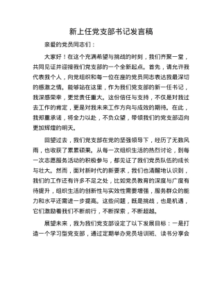 新上任X支部书记发言稿.docx