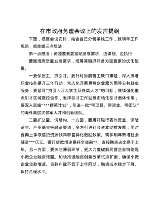 在市政府务虚会议上的发言提纲(1).docx