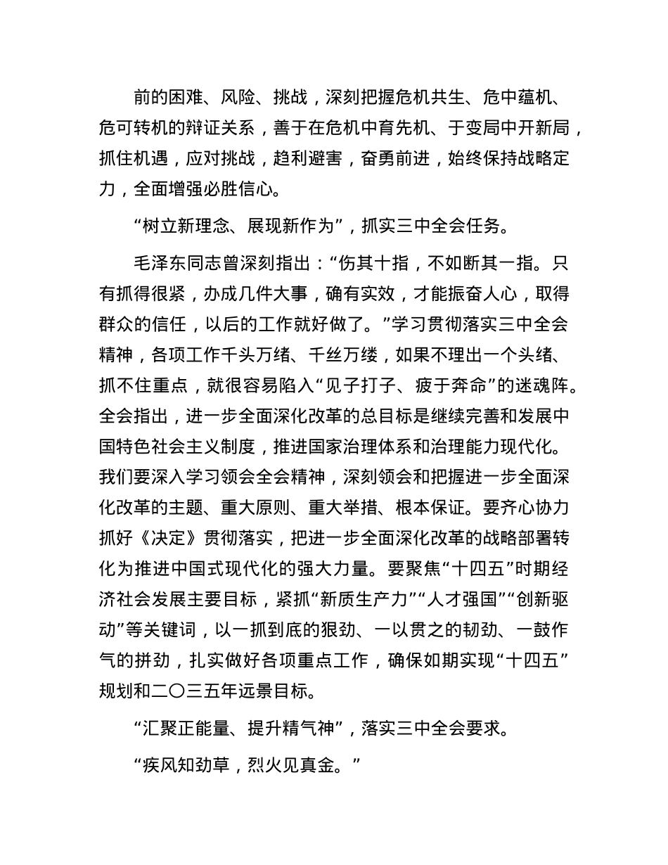 学习二十届三中全会精神研讨发言：学深悟透  抓紧抓实.docx_第2页