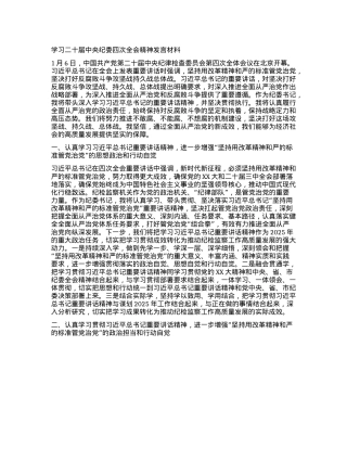 学习二十届中央纪委四次全会精神发言材料(1).docx