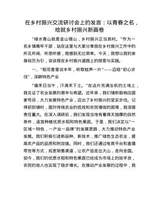 在乡村振兴交流研讨会上的发言：以青春之名，绘就乡村振兴新画卷.docx