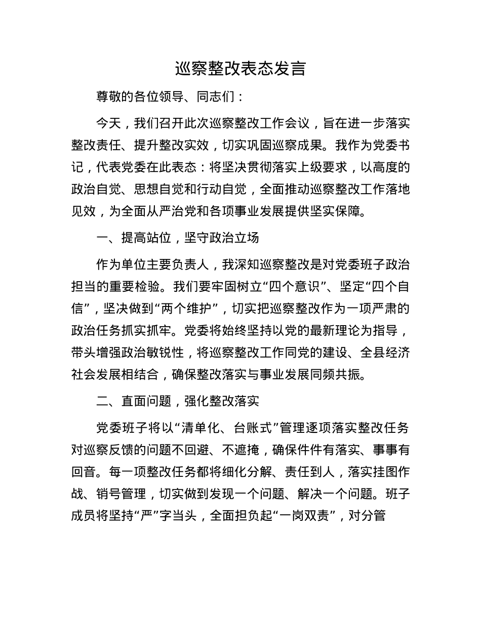 巡察整改表态发言.docx_第1页