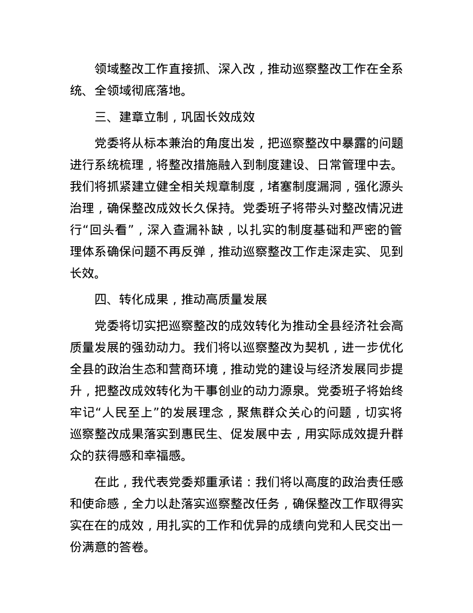 巡察整改表态发言.docx_第2页