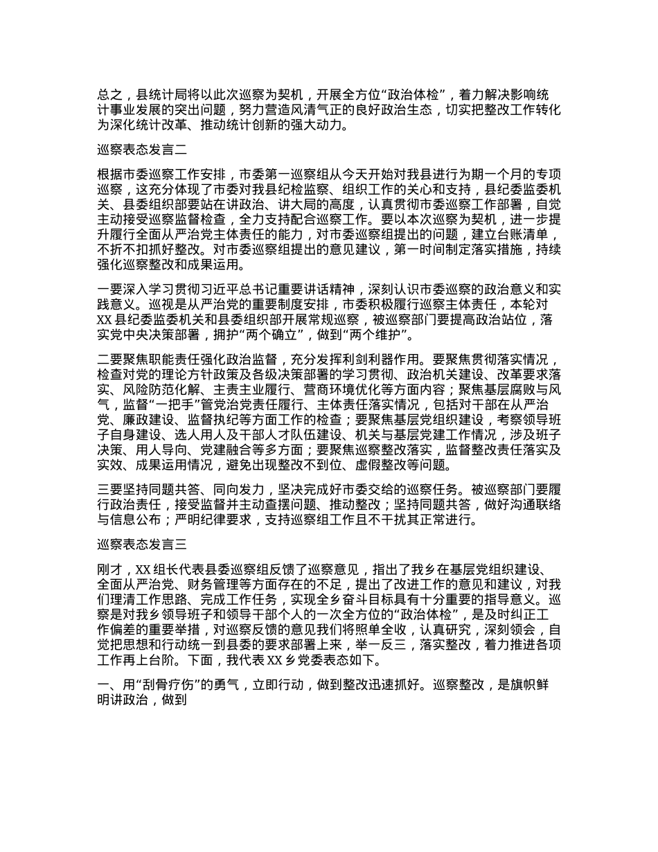 巡视巡察表态发言.docx_第2页