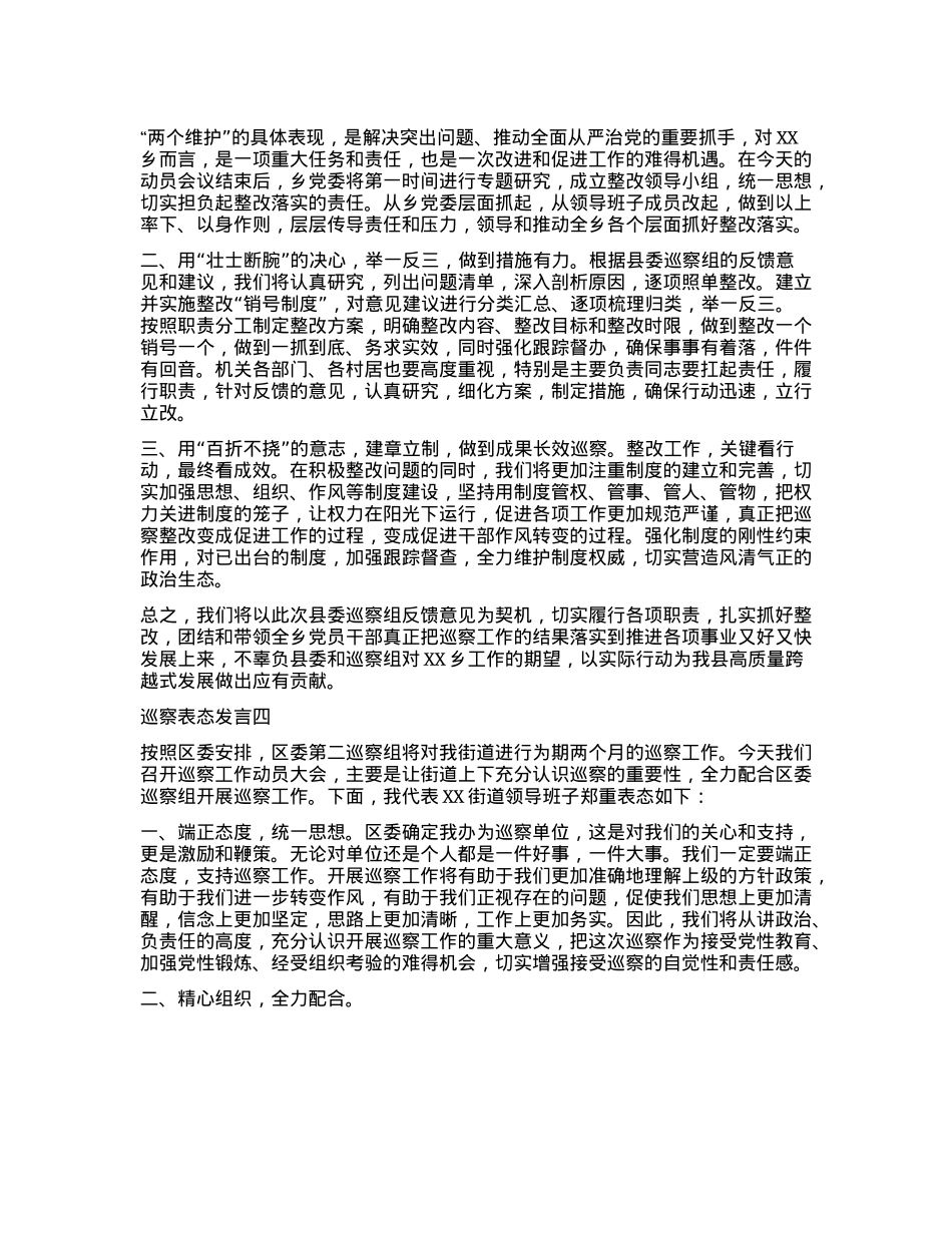 巡视巡察表态发言.docx_第3页