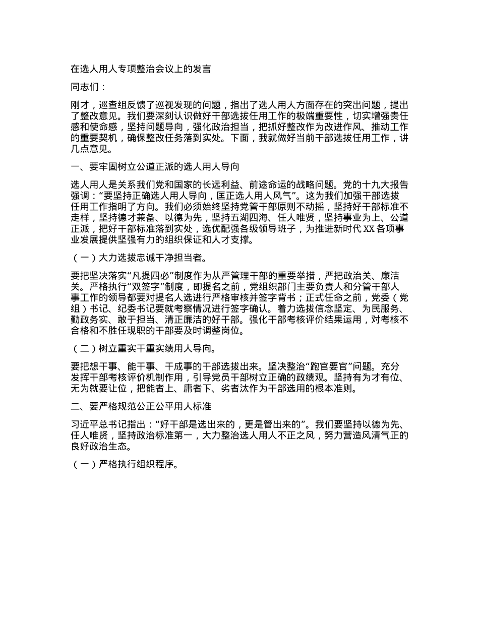 在选人用人专项整治会议上的发言.docx_第1页