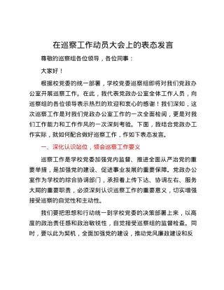 在巡察工作动员大会上的表态发言.docx