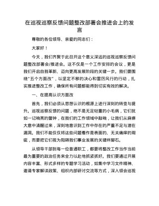 在巡视巡察反馈问题整改部署会推进会上的发言.docx