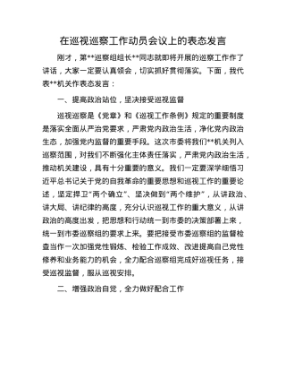 在巡视巡察工作动员会议上的表态发言.docx