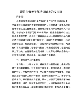 领导在青年干部培训班上的发言稿(1).docx