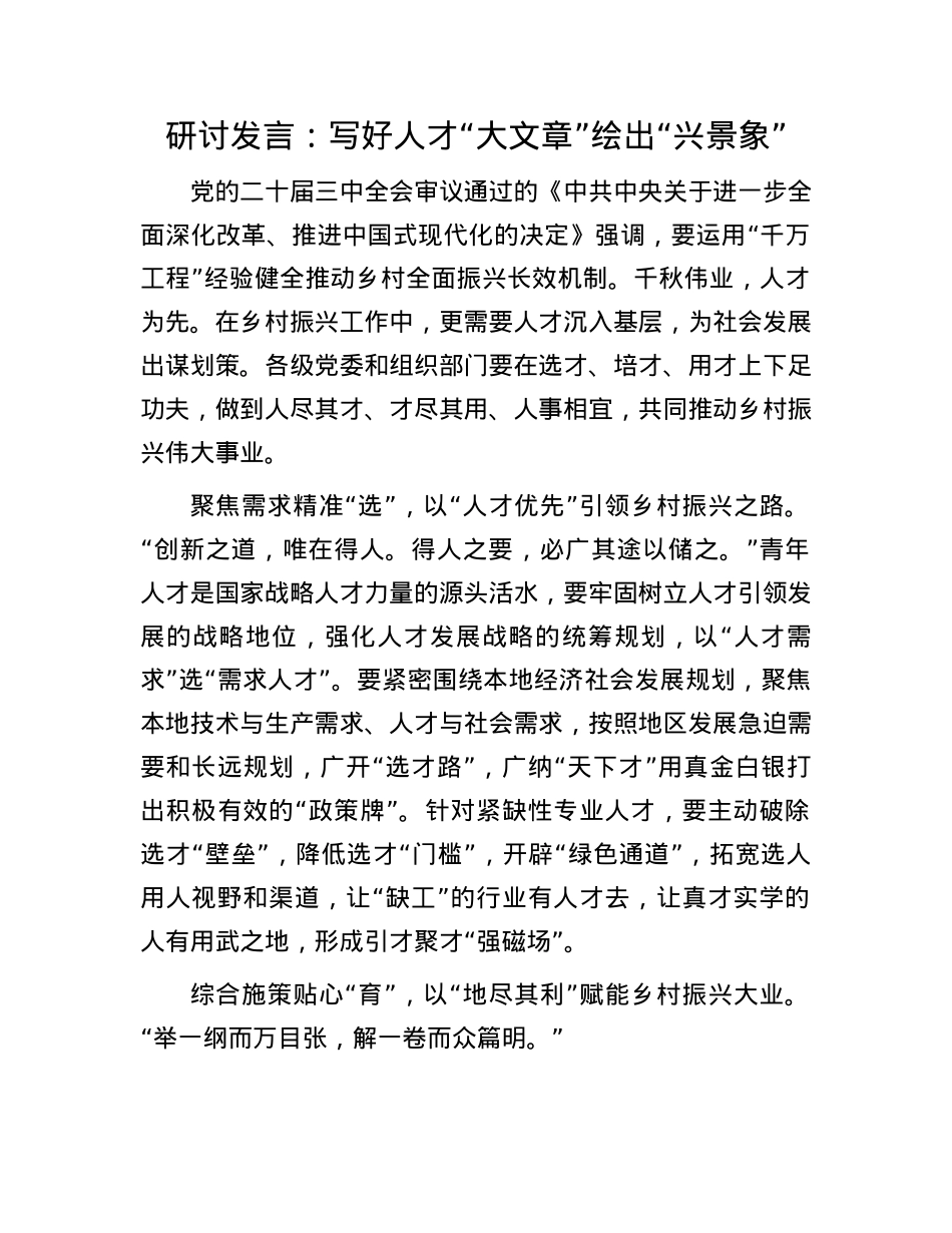 研讨发言：写好人才“大文章” 绘出“兴景象”.docx_第1页