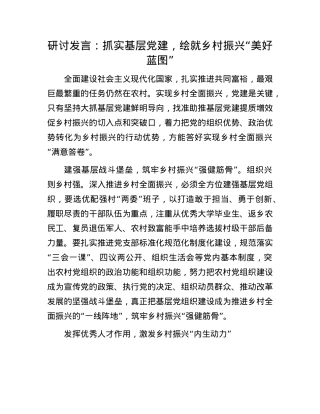 研讨发言：抓实基层X建，绘就乡村振兴“美好蓝图”.docx