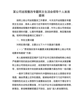 某公司巡视整改专题民主生活会领导个人发言提纲(1).docx