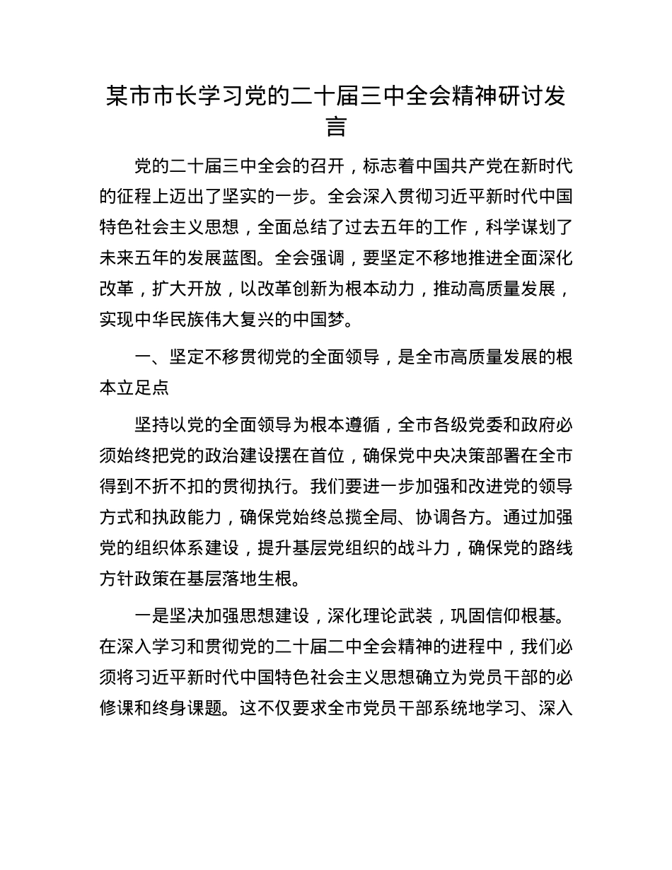 某市市长学习X的二十届三中全会精神研讨发言.docx_第1页