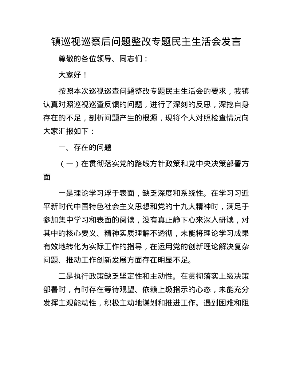 镇巡视巡察后问题整改专题民主生活会发言(1).docx_第1页