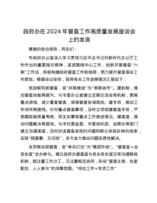 政府办在2024年督查工作高质量发展座谈会上的发言.docx