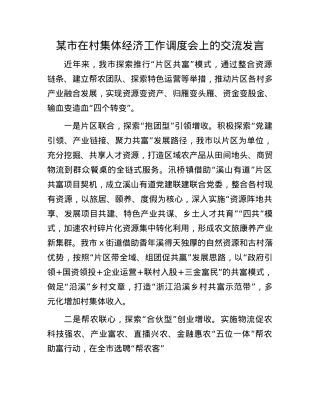 某市在村集体经济工作调度会上的交流发言.docx