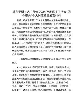 某县委副书记、县长2024年度民主生活会“四个带头”个人对照检查发言材料(1).docx