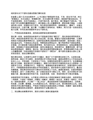 组织部长关于干部队伍建设思路打算的发言.docx