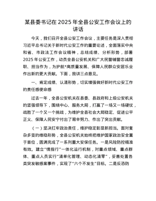 某县委书记在2025年全县公安工作会议上的讲话.docx