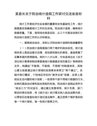 某县长关于防治统计造假工作研讨交流发言材料.docx
