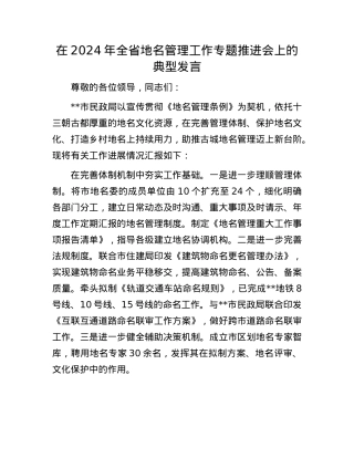 在2024年全省地名管理工作专题推进会上的典型发言.docx