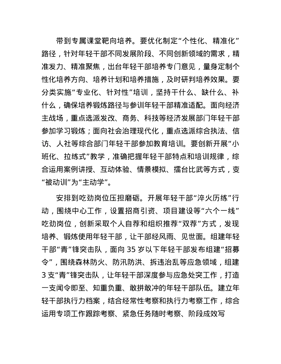 区委常委、组织部部长研讨发言：优化年轻干部培养路径.docx_第2页