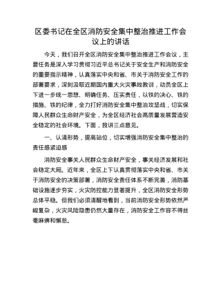 区委书记在全区消防安全集中整治推进工作会议上的讲话.docx