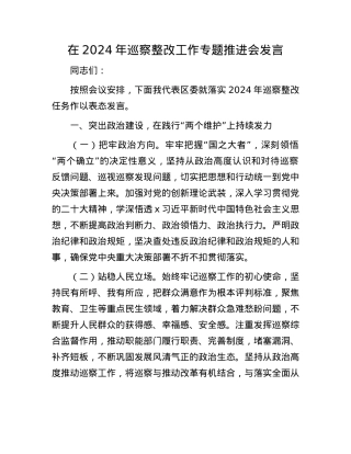 在2024年巡察整改工作专题推进会发言.docx