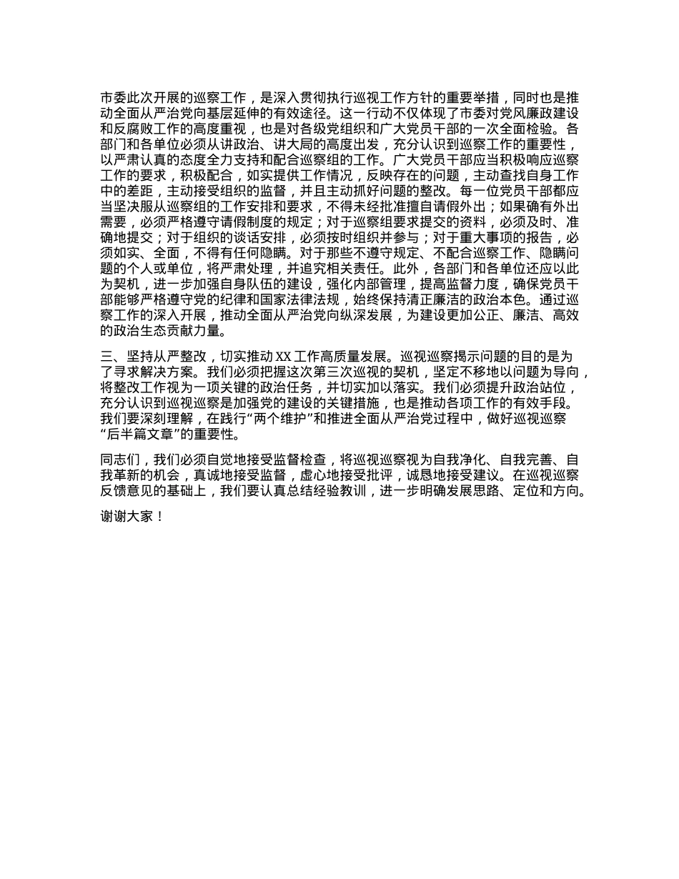 在2024年巡视整改反馈意见会上的发言.docx_第2页