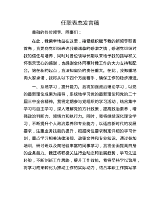 任职表态发言稿.docx