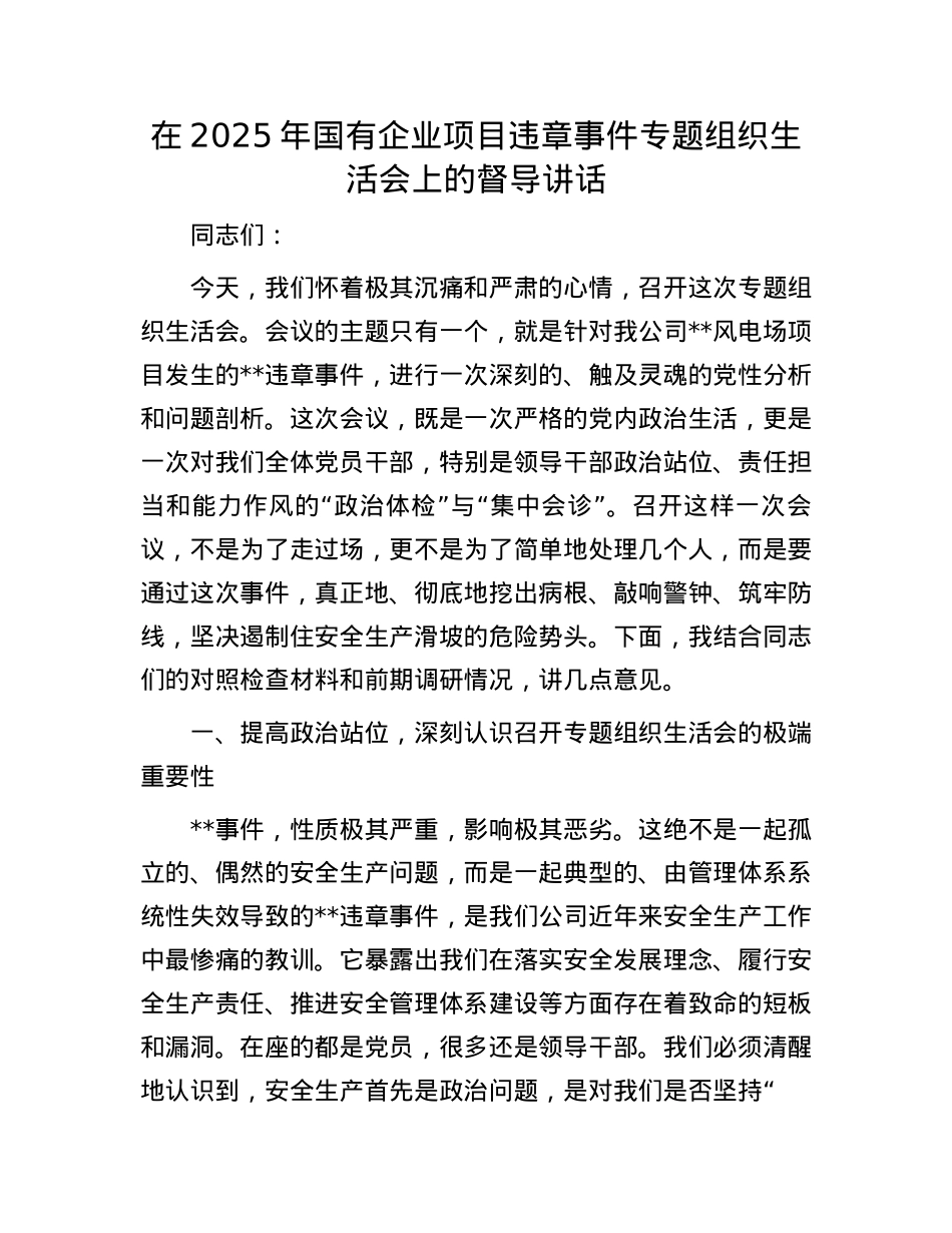 在2025年国有企业项目违章事件专题组织生活会上的督导讲话.docx_第1页