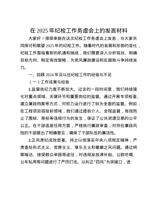 在2025年纪检工作务虚会上的发言材料(1).docx