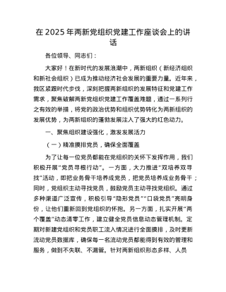 在2025年两新X组织X建工作座谈会上的讲话.docx