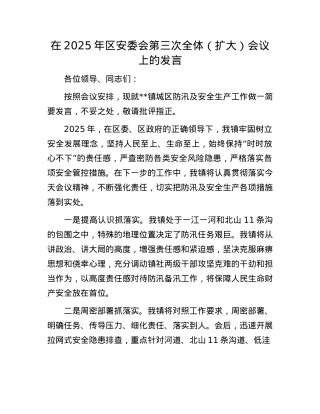 在2025年区安委会第三次全体（扩大）会议上的发言.docx