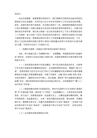 市审计局党组书记在2025年全市内部审计工作业务培训班上的讲话.docx