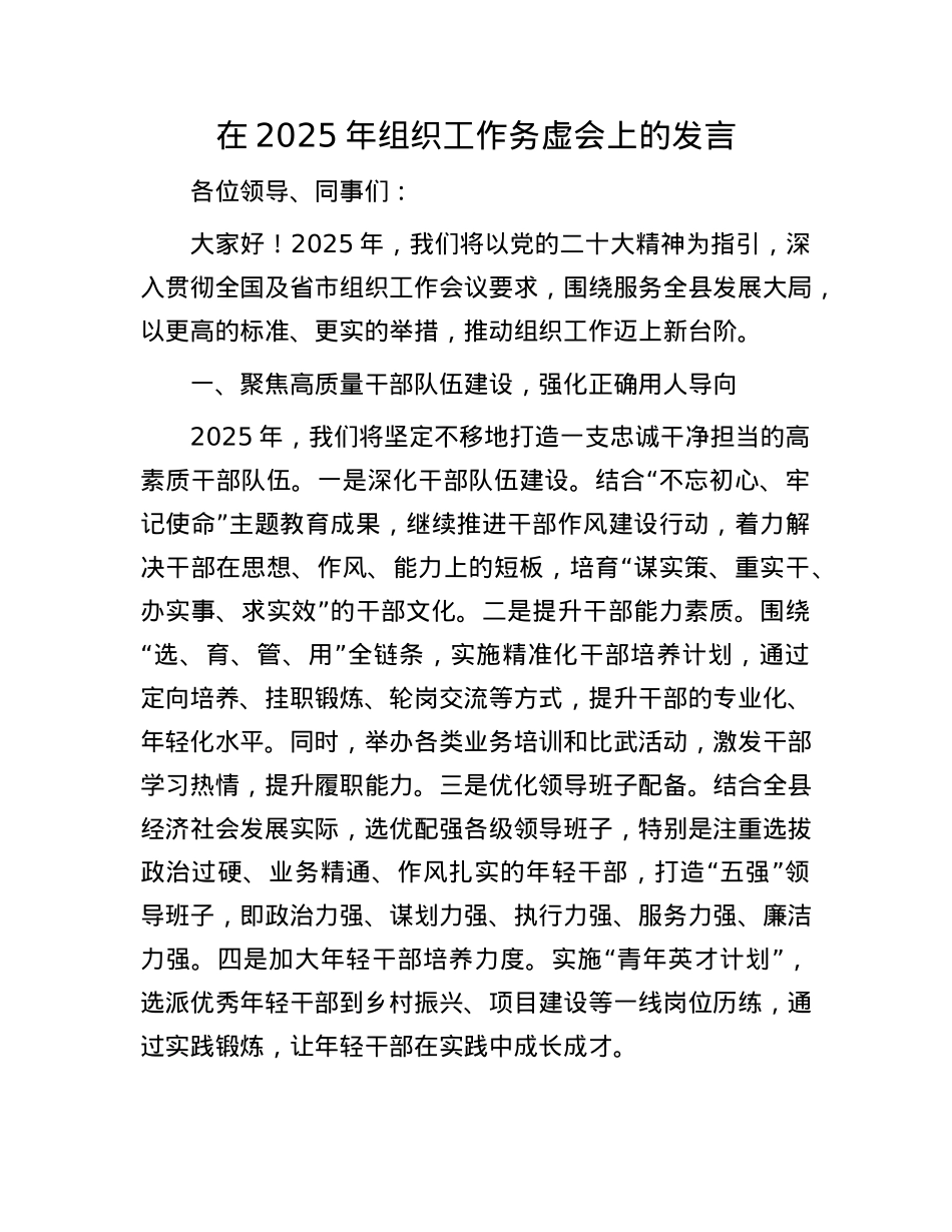 在2025年组织工作务虚会上的发言.docx_第1页