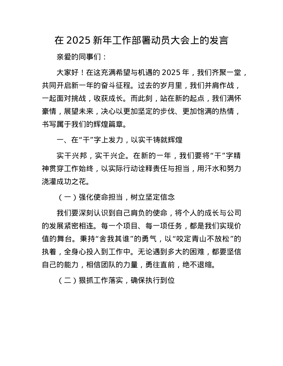 在2025新年工作部署动员大会上的发言.docx_第1页