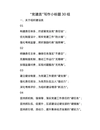 “X建类”写作小标题30组.docx