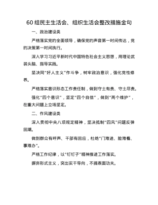 60组民主生活会、组织生活会整改措施金句(1).docx