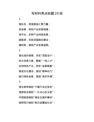 写材料亮点标题20组(1).docx
