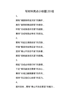 写材料亮点小标题20组(1).docx